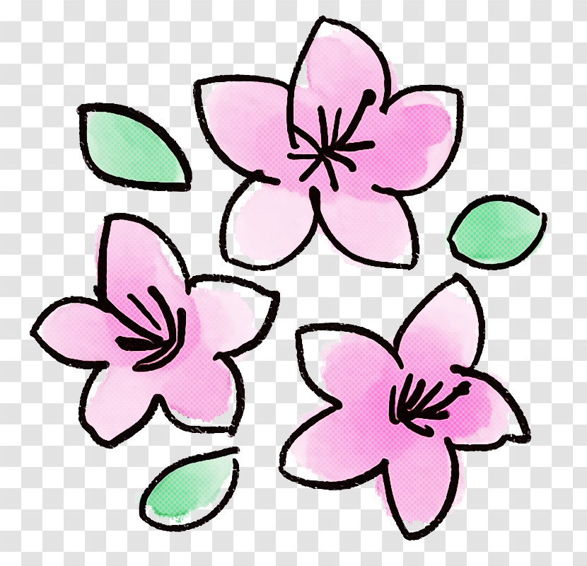 Pink Petal Flower Plant Magenta Transparent PNG