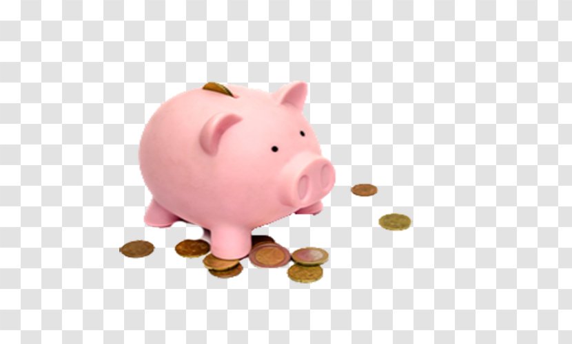Piggy Bank Coin Investment Saving - Pig - Free Pink To Pull The Material Transparent PNG