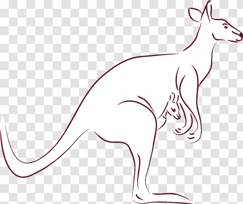 Whiskers Macropodidae Kangaroo Canidae Dog - Artwork Transparent PNG