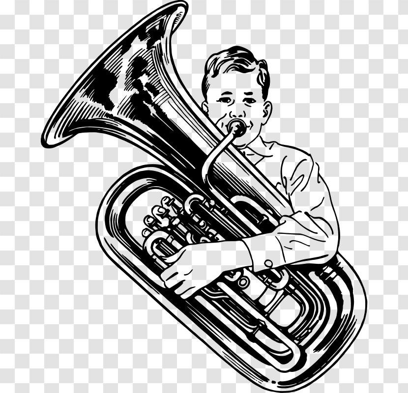 Tuba Sousaphone Clip Art - Cartoon - Musical Instruments Transparent PNG