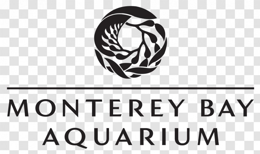 Monterey Bay Aquarium Cannery Row Of The Pacific White Shark Café - Public Transparent PNG