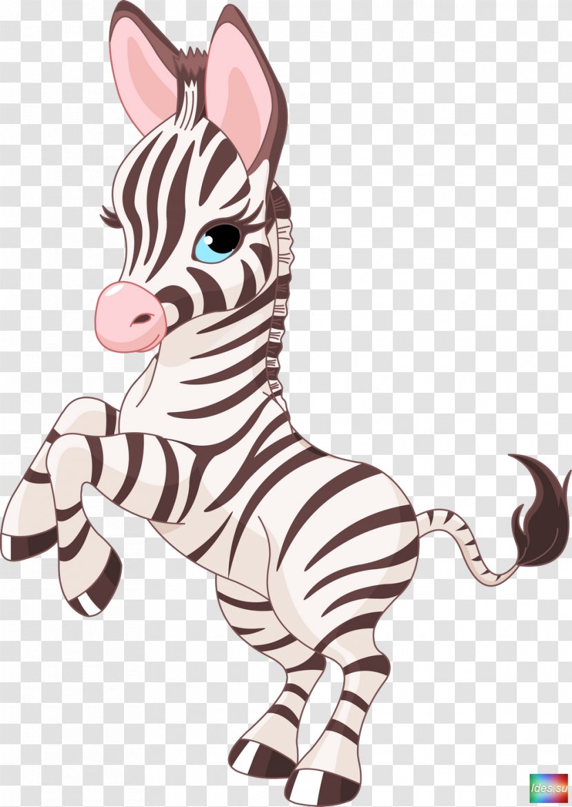 Foal Horse Zebra - Like Mammal Transparent PNG