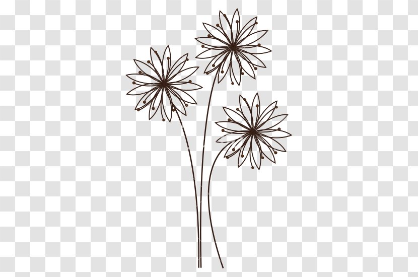Flower Common Daisy - Drawing - Wild Flowers Transparent PNG