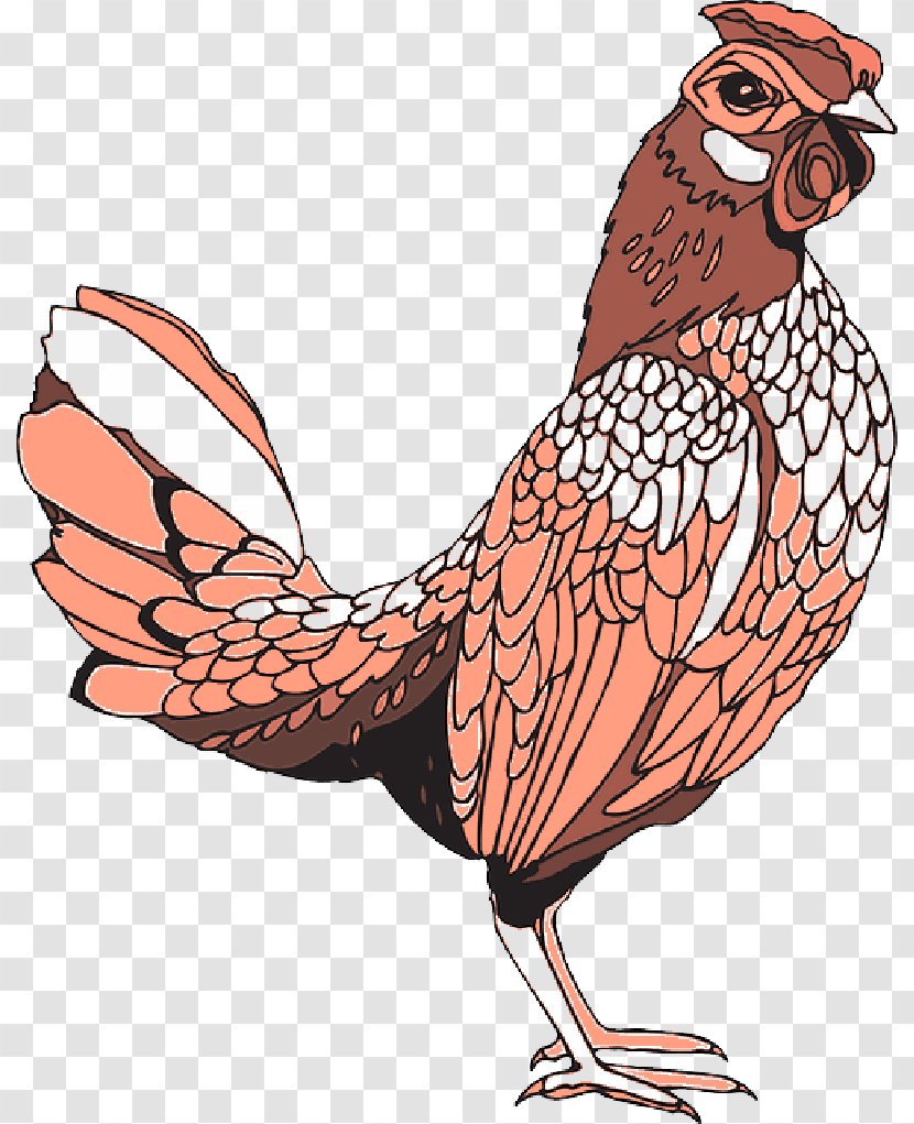 Rooster Clip Art Chicken Coloring Book Image - Photography - Colored Feathers Transparent PNG