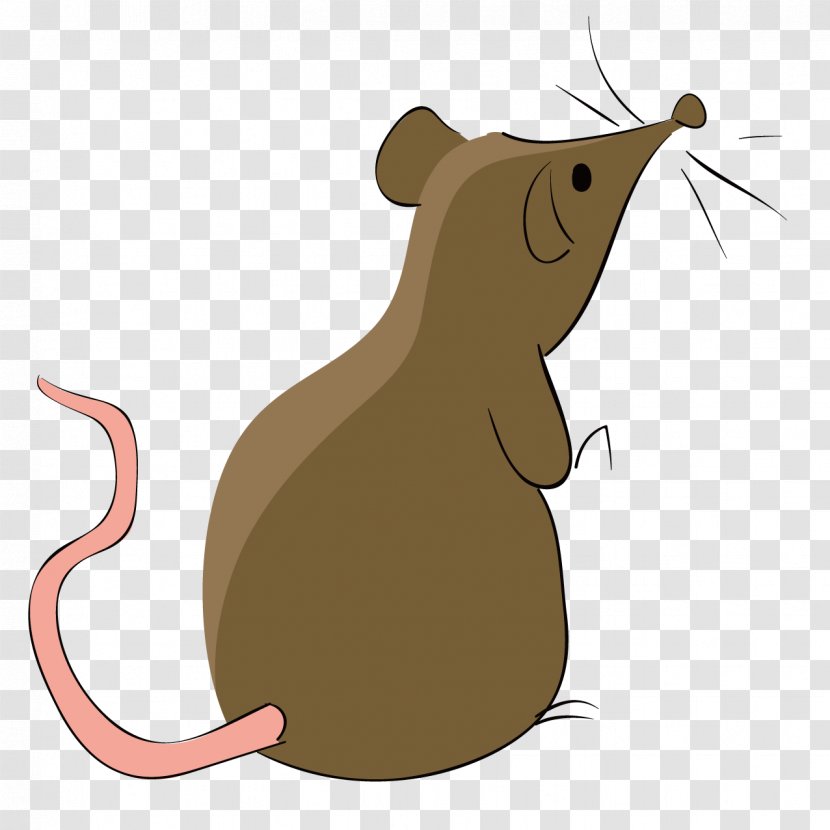 Rat Computer Mouse Euclidean Vector - Vecteur Transparent PNG