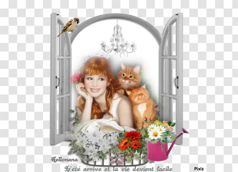 .de Illustrator Art - Window - Fff Transparent PNG