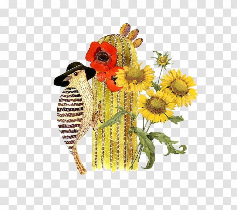 Bird Textile Arts Drawing Illustration - Sunflower - Cactus Woodpecker Transparent PNG