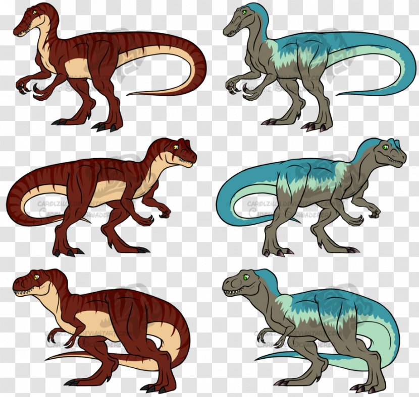 Tyrannosaurus Velociraptor Allosaurus Giganotosaurus Drawing - Dinosaur - Cat Transparent PNG