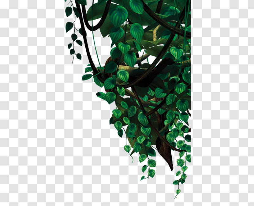 Leaf Icon - Leaves Transparent PNG