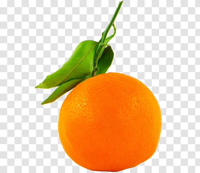 Bergamot Orange Fruitarianism Juice - Rangpur Transparent PNG