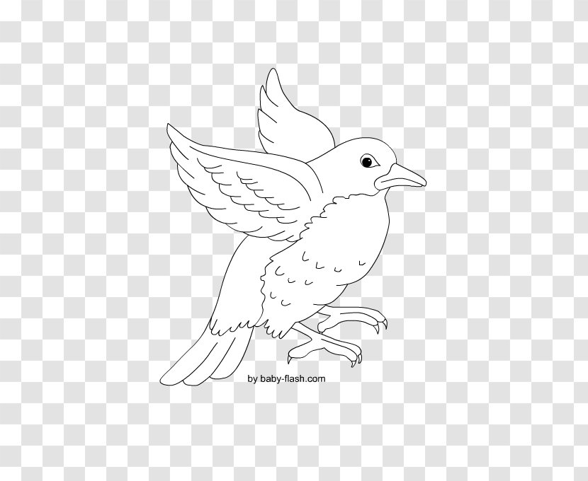 Line Art Beak Drawing /m/02csf Feather - Branch Transparent PNG