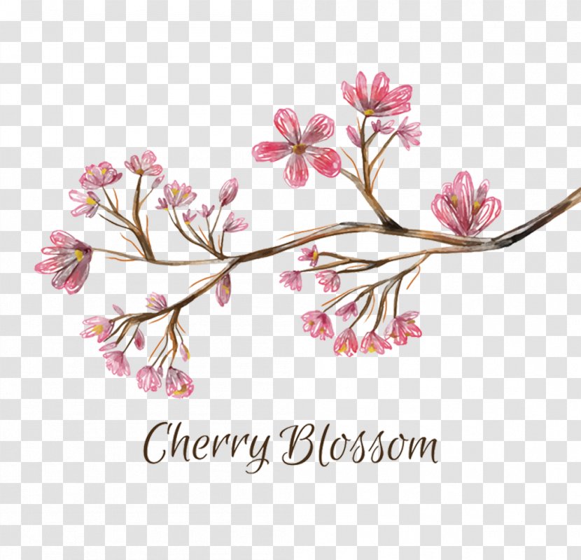 National Cherry Blossom Festival - Petal - Ink And White Blossoms Transparent PNG