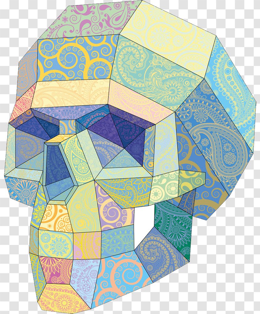 Skull Euclidean Vector Three-dimensional Space - Skeleton Transparent PNG