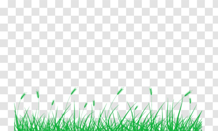 Lawn Pens Meadow Grasses - Grassland - Powerpoint Presentation Transparent PNG