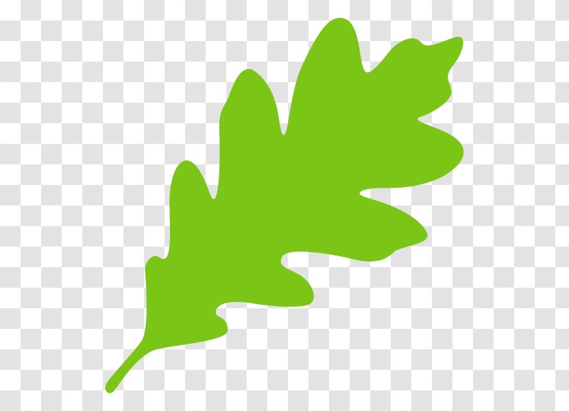 Tree Clip Art Leaf Line Plant Stem - Green Transparent PNG