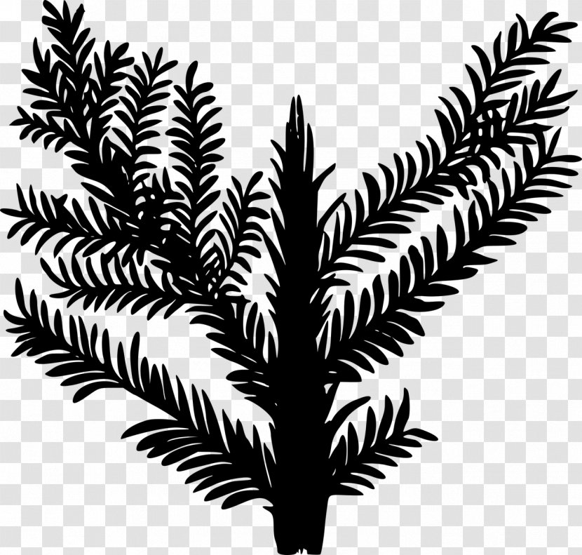 Plant Triassic Date Palm Clip Art - Leaf Transparent PNG