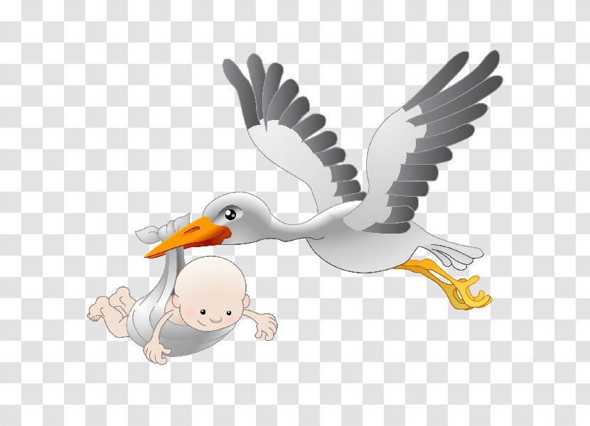 Infant Stork Clip Art Transparent PNG