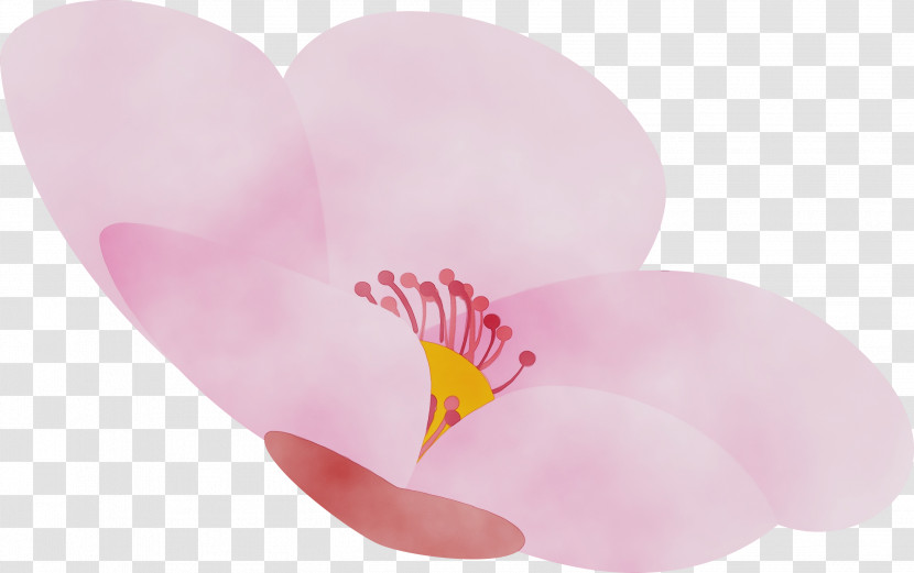 Pink Petal Flower Heart Plant Transparent PNG