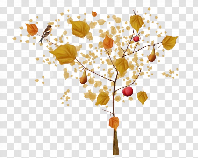 Tree Autumn - Petal Transparent PNG