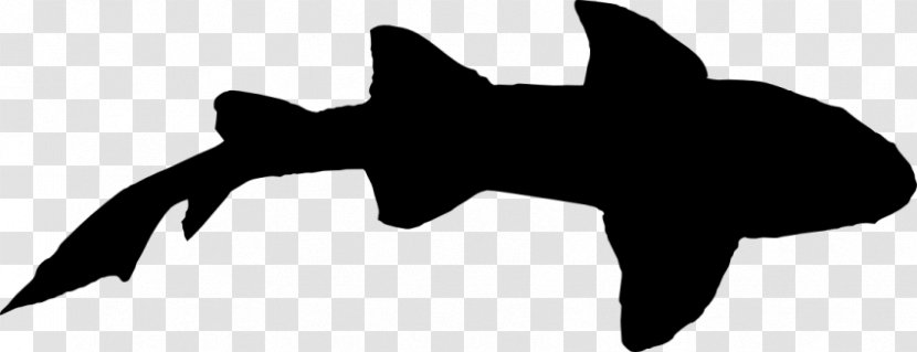 Hammerhead Shark Silhouette Clip Art - Black And White - Jump Transparent PNG