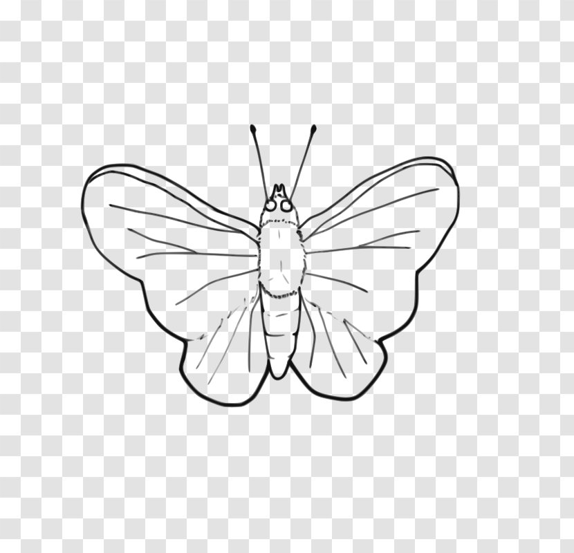 Butterfly Line Art Black And White Clip - Monarch - Pictures Transparent PNG