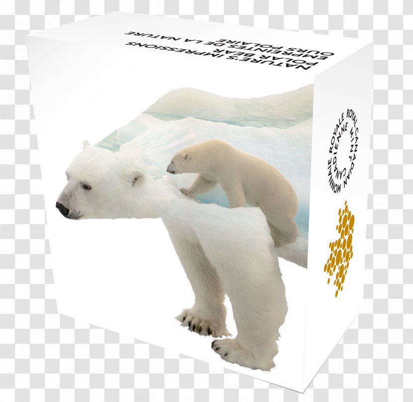 Polar Bear Arctic Canada Paw Silver - Bears - Print Transparent PNG