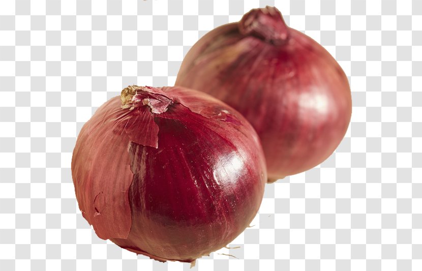 Red Onion Shallot Yellow Superfood - Local Food - Fresh Onions Transparent PNG