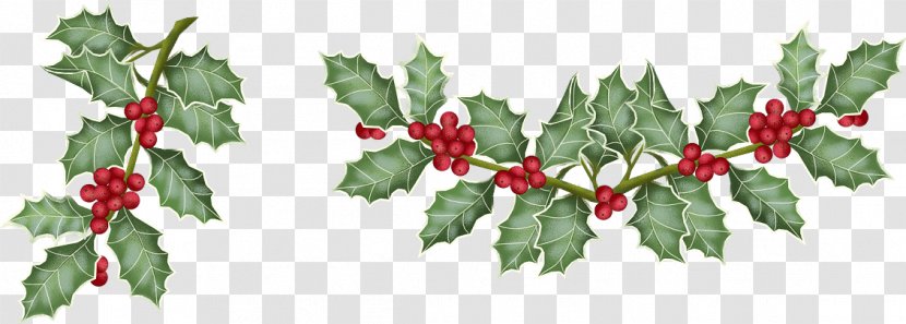 Christmas Day Drawing Poinsettia Graphics Image - Tree - Currant White Transparent PNG