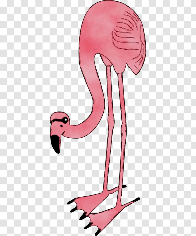 Muscle Pink M Cartoon Design Beak - Water Bird - Neck Transparent PNG