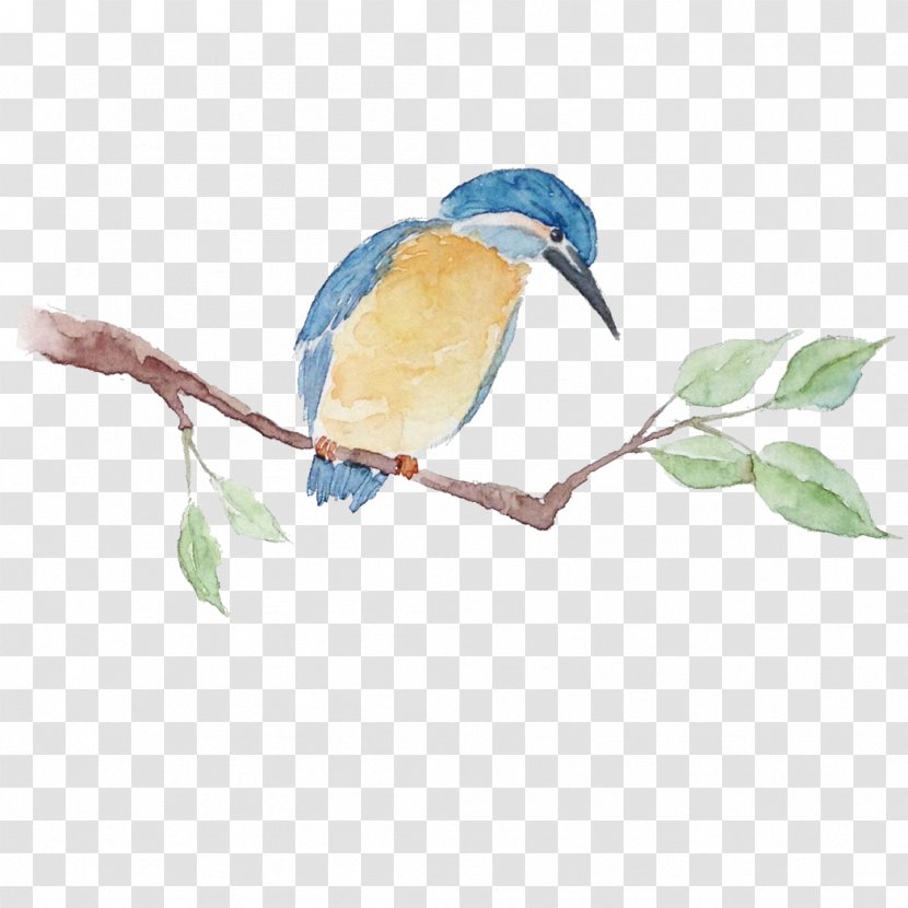 Download Computer File - Beak - Tree Bird Transparent PNG