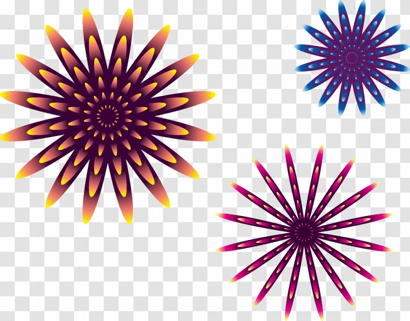 Flower Drawing Graphic Design Clip Art - Fireworks Transparent PNG