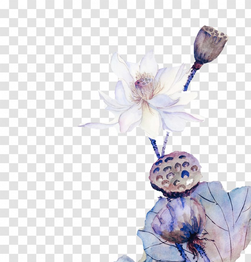 Watercolor Painting Chinoiserie - Hand-painted Lotus Ink Transparent PNG