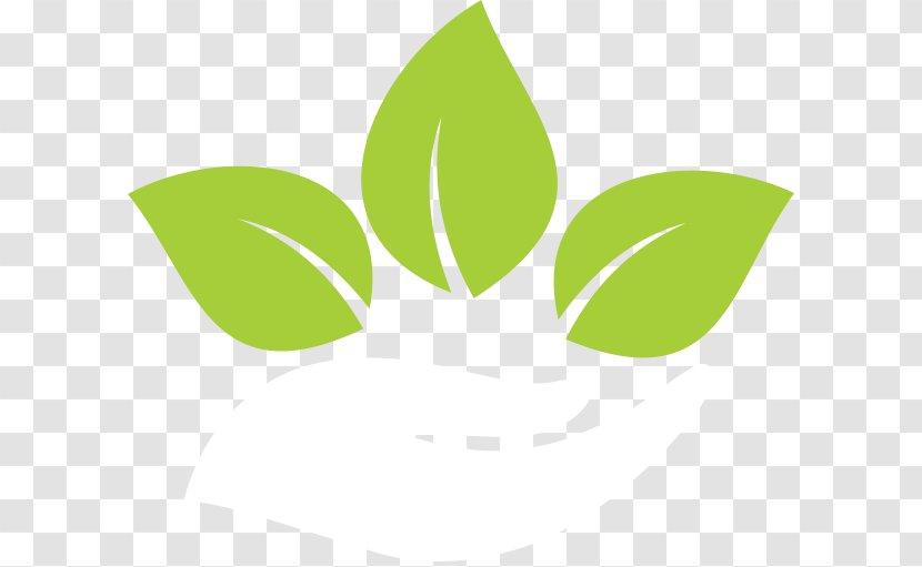 Leaf Logo Brand - Green Transparent PNG