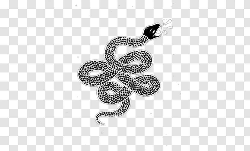 Kingsnakes Reptile - Serpent - Snakes Transparent PNG