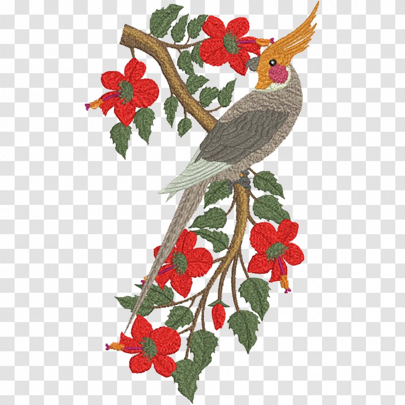 Bourke's Parrot Bird Cockatiel Australian King - Twig Transparent PNG