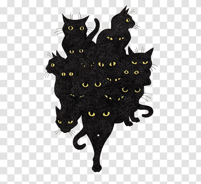 Black Cat Kitten Drawing Illustration - Animation Transparent PNG