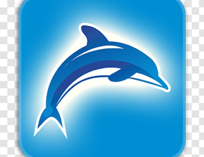 Common Bottlenose Dolphin Font - Whales Dolphins And Porpoises Transparent PNG