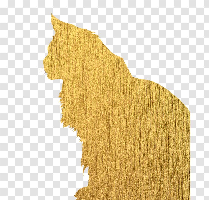 Maine Coon Raccoon Blagoveshchensk Carnivora Transparent PNG