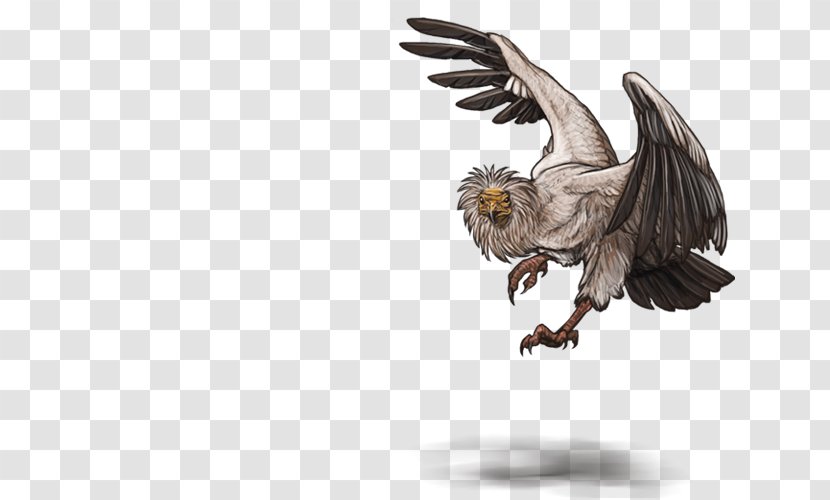 Bald Eagle Egyptian Vulture Bird Cinereous - Wing Transparent PNG