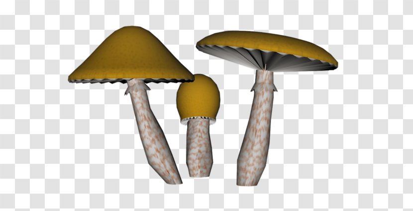 Common Mushrooms Fungus Amanita Muscaria Rendering - Agaric - Hand-painted Transparent PNG