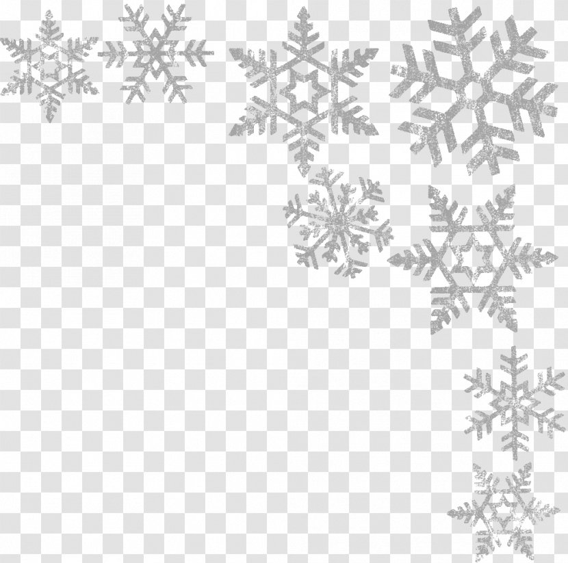 Wadi Rum Snowflake Winter - Ice - Snowflakes Transparent PNG