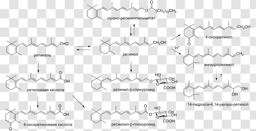 Vitamin A Retinol Retinal Carotenoid - Licence Cc0 Transparent PNG