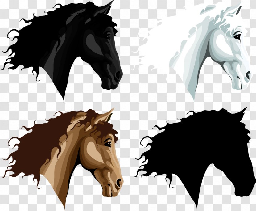 Horse Stallion Pony Silhouette - Colt - Horsehead Transparent PNG