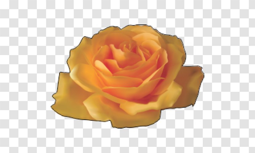 Rose Flower Yellow Clip Art - Family Transparent PNG