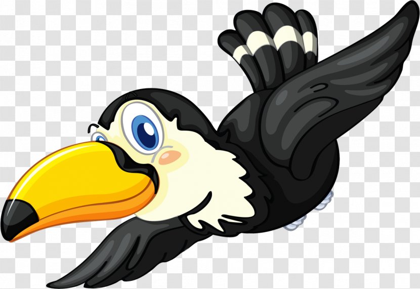 Coloring Book Drawing - Illustrator - TUCAN Transparent PNG