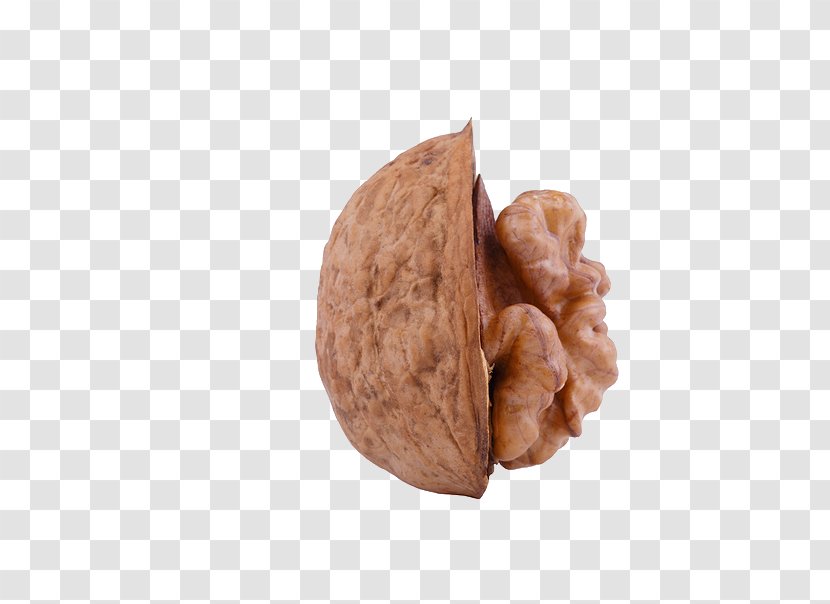 Walnut Stock Photography Wisgoon Transparent PNG