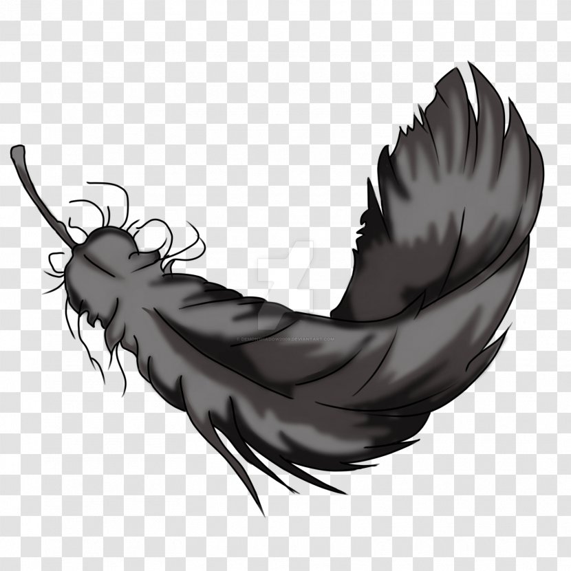 Bird Feather Art Painting Drawing Transparent PNG