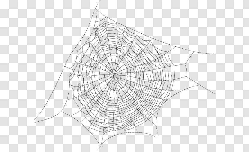 Spider Web Drawing - Symmetry Transparent PNG