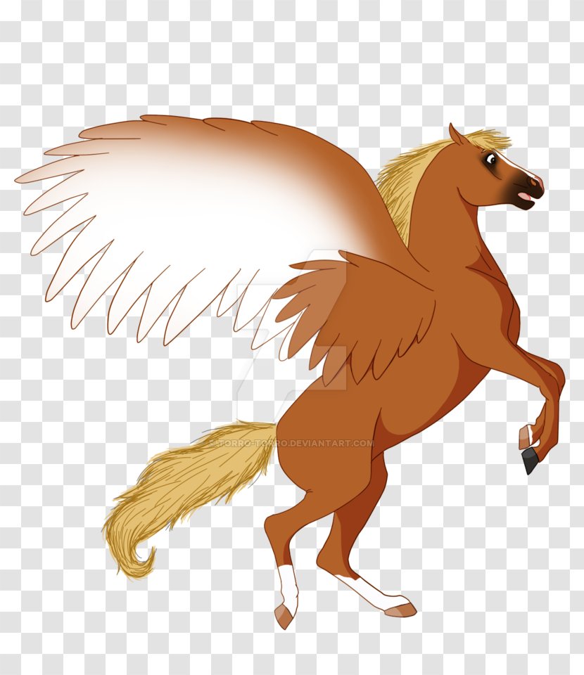 Mustang Stallion Mane Chicken Canidae - Bird Transparent PNG