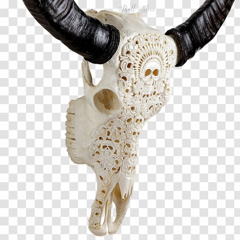 Horn Cattle Animal Skulls Bone - Buffalo Skull Transparent PNG